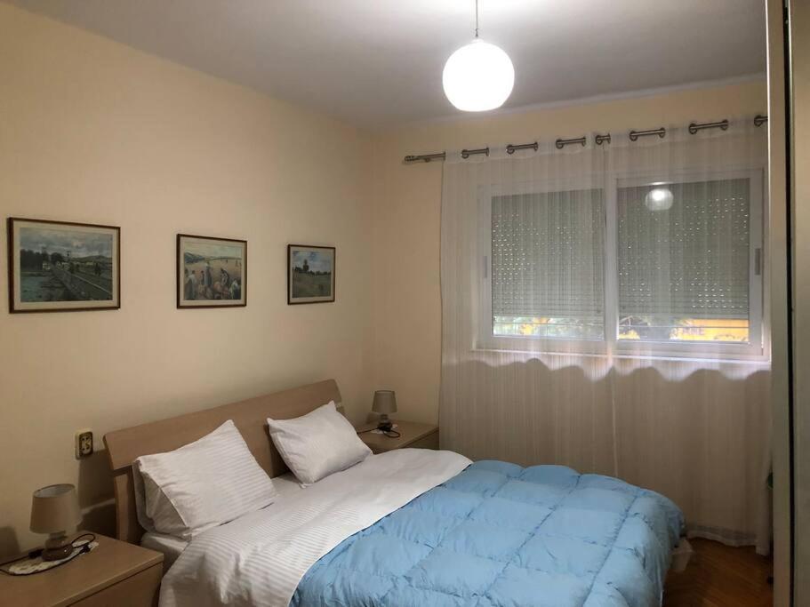 Cozy Flat In The Heart Of